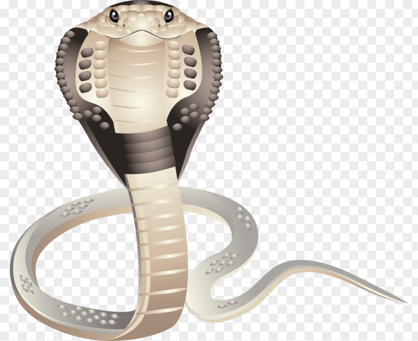 Snake Clip Art PNG