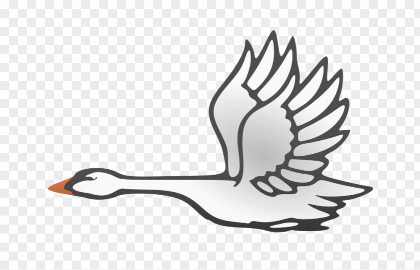 Swan Bird Cygnini Flight Duck Goose PNG