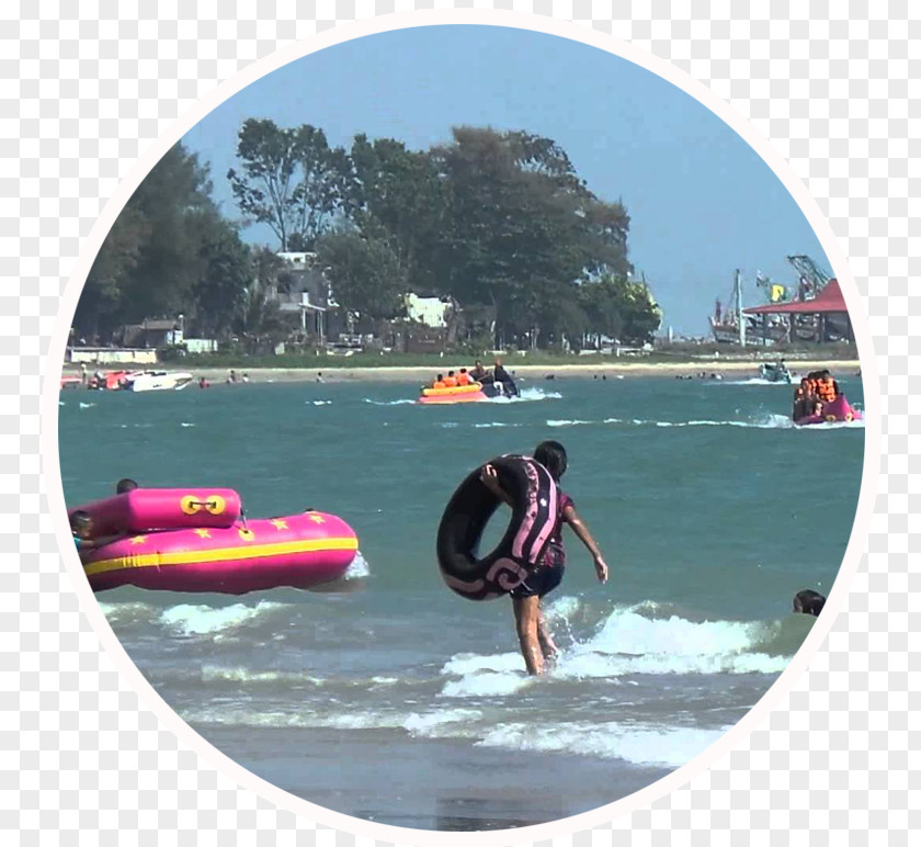 Vacation Water Transportation Shore Surfboard Boardsport Leisure PNG