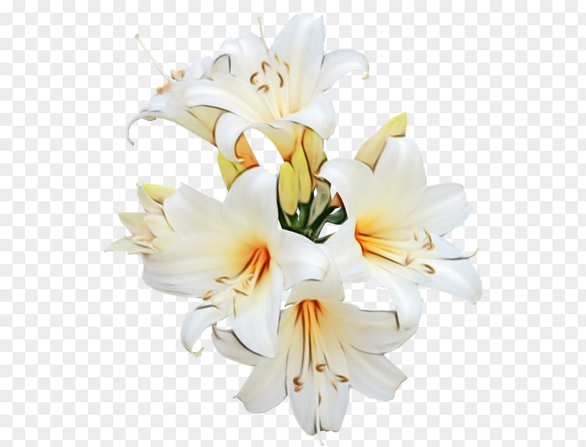 Artificial Flower PNG