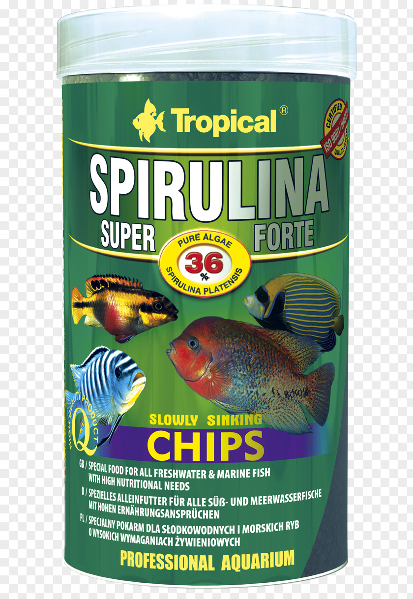 Crisps Spirulina Food Milliliter Algae Fish PNG
