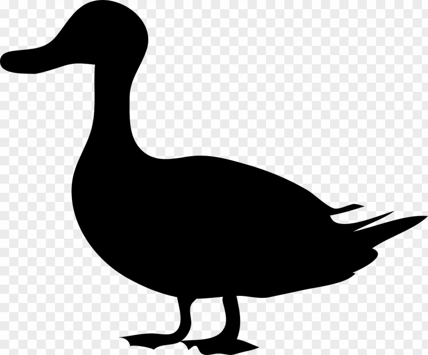 Duck Mallard Goose Silhouette Clip Art PNG