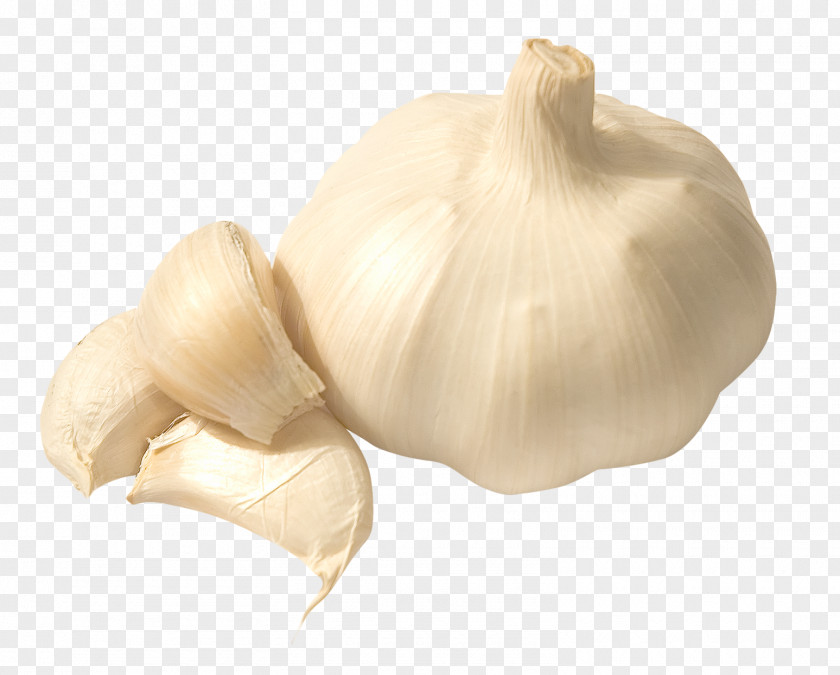 Garlic Food PNG