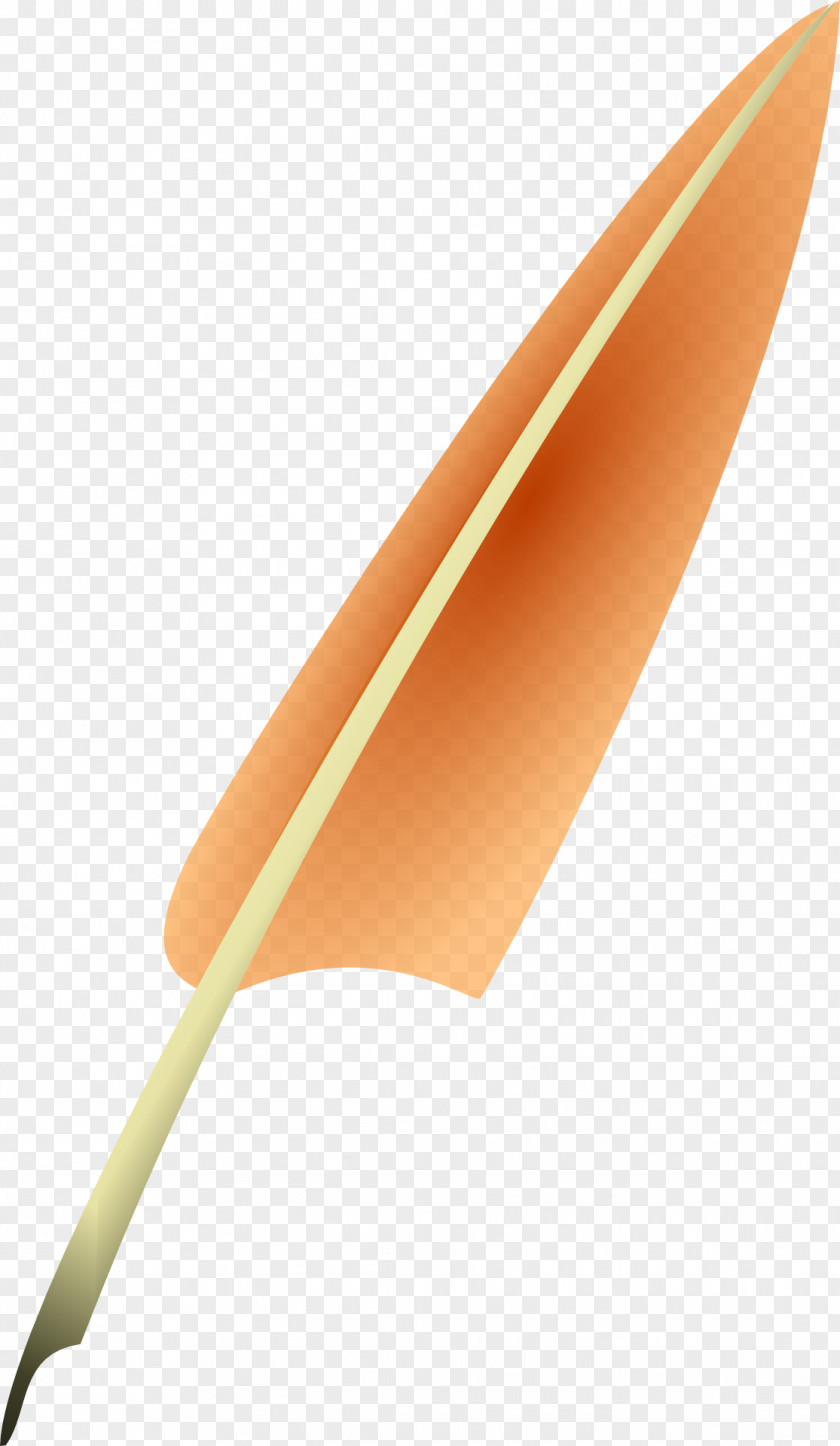 Personality Feather Euclidean Vector Pen PNG