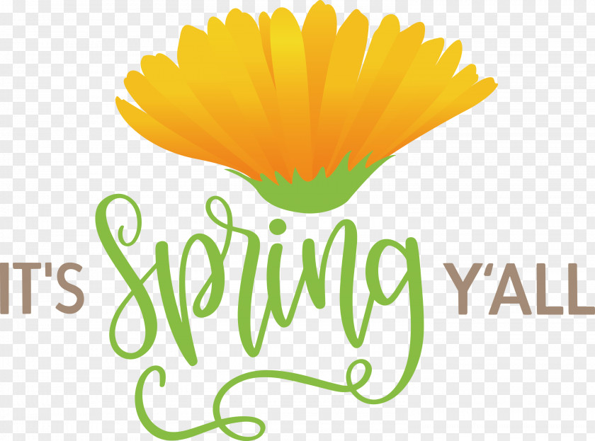 Spring Quote Message PNG