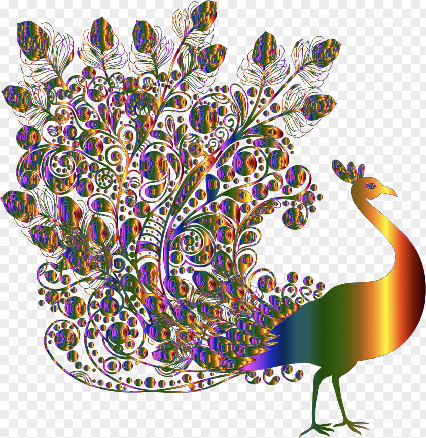 Bird Peafowl Vector Graphics Stock.xchng Image PNG