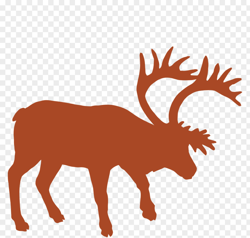 Buck Silhouette Deer Hunting Animal Track Vector Graphics Muskox Reindeer PNG