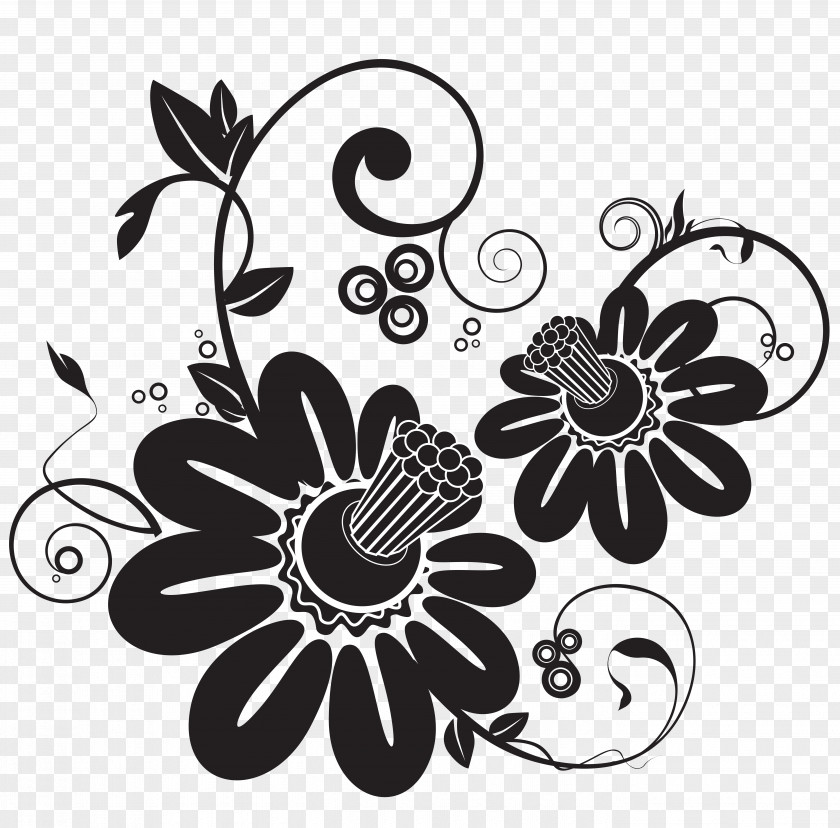 Busteni Floral Ornament CD-ROM And Book Design Clip Art Vector Graphics PNG