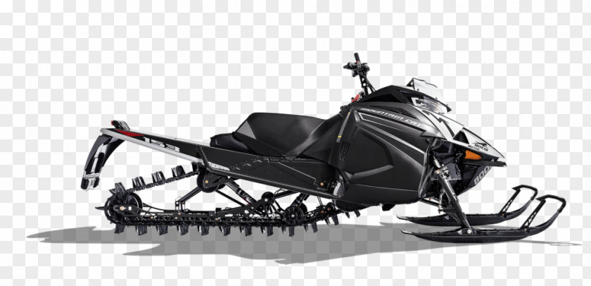 Cat Arctic Snowmobile Sales Price PNG