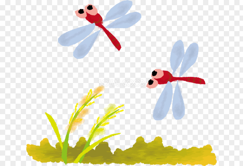 Dragonfly Cartoon Cute Butterfly Akatombo Illustration Image PNG