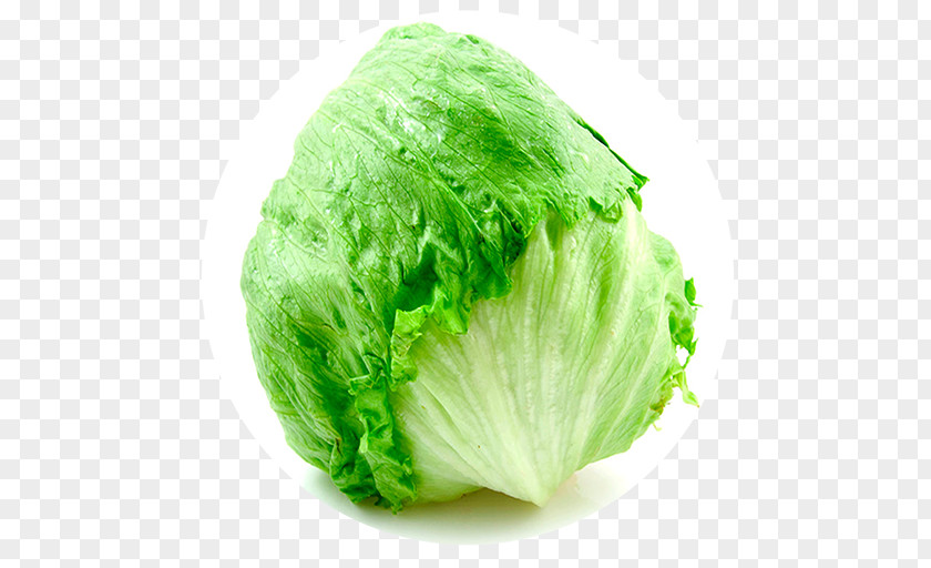Iceberg Lettuce Vegetable Caesar Salad Food PNG