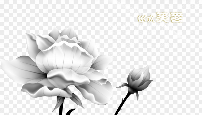 Ink Lotus Background Paper Sticker Wallpaper PNG