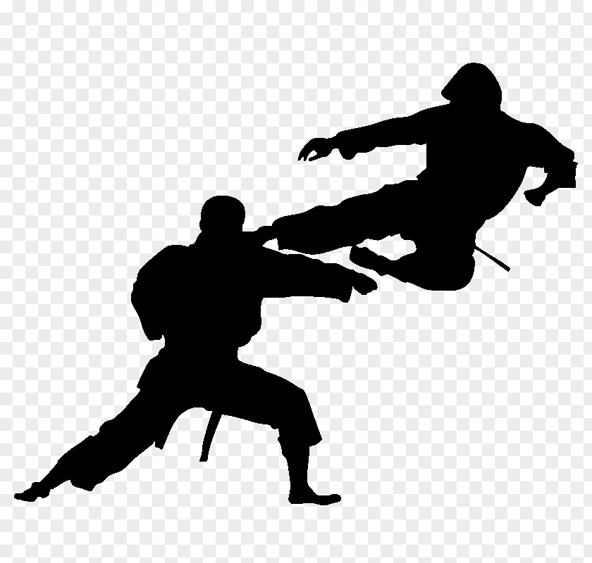 Silhouette Karate Martial Arts Sport PNG
