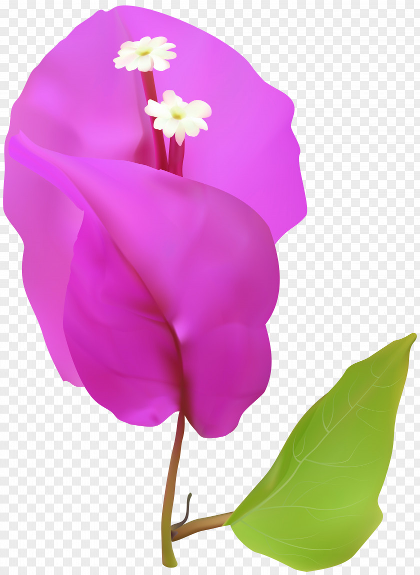 Spring Tree Flower Clip Art Image PNG