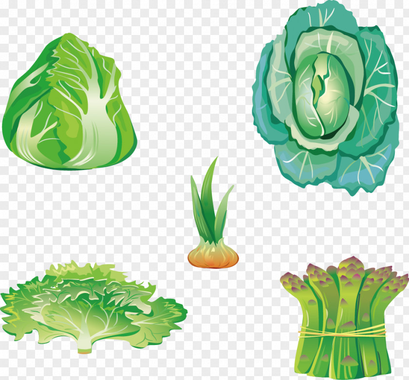 Five Vegetables Leaf Vegetable Food PNG