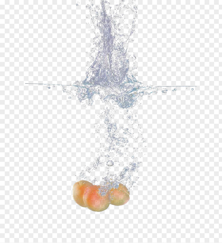 Fruit In Water Zolf J. Kimblee Pattern PNG