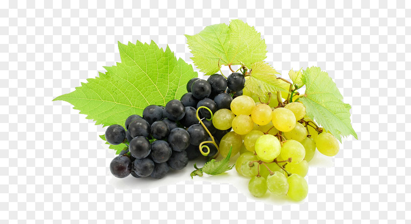Grape Cabernet Sauvignon Maryland Wine Berry PNG