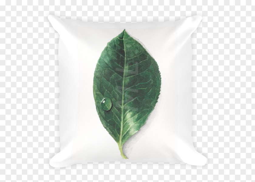 Green Pillow Leaf PNG