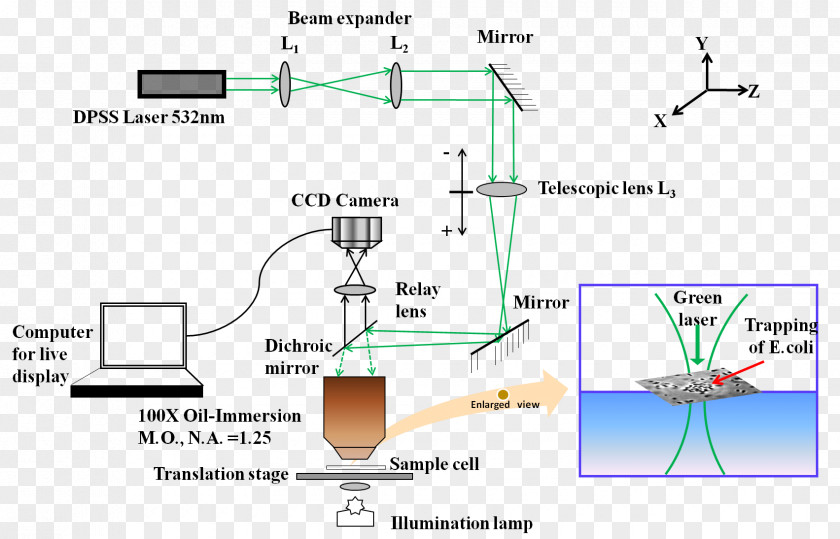 Line Angle Diagram PNG