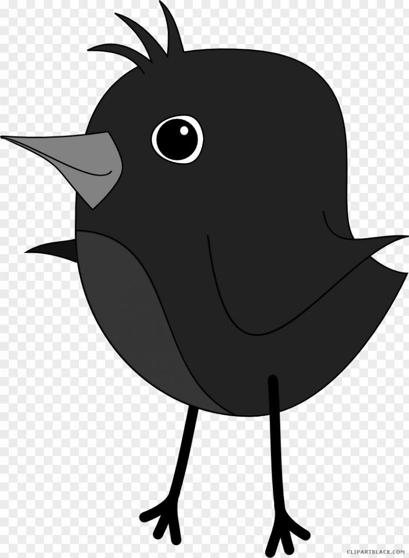 Robin European Clip Art Free Content American PNG