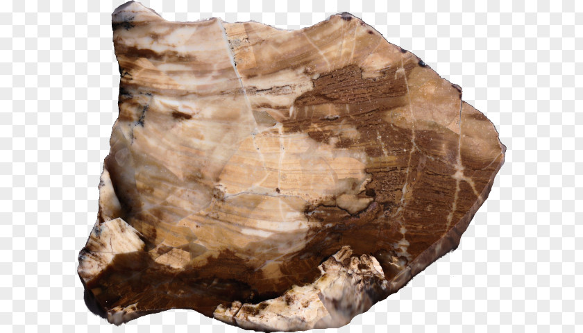 Wood Slab Mineral Geology Igneous Rock Agate PNG
