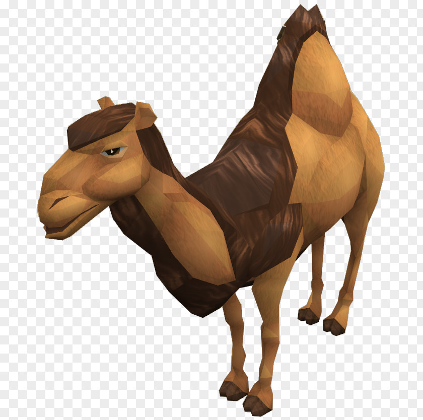Camel RuneScape Dromedary Horse Pack Animal PNG