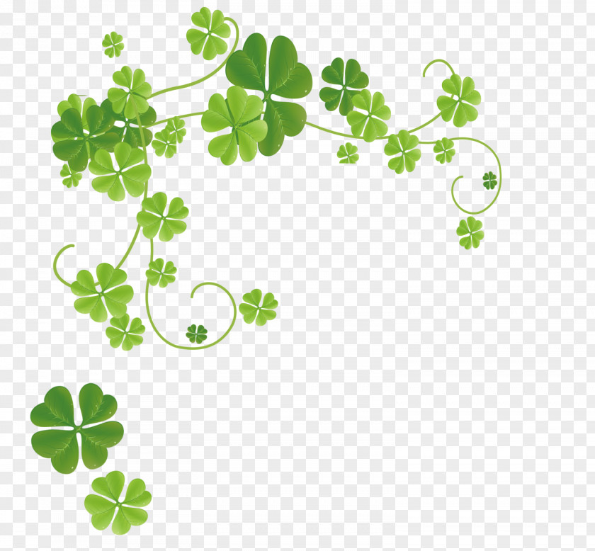 Clover Four-leaf Xiaoshu PNG