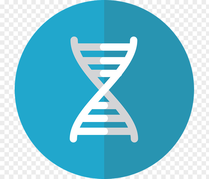 Gene Redundancy Genetics Genetic Engineering PNG