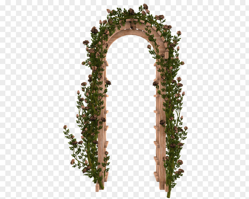 Ivy Family Vine Rose PNG