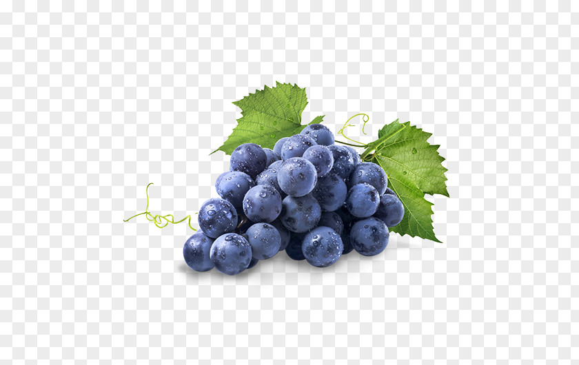 Raisin Concord Grape Common Vine Isabella Stock Photography PNG