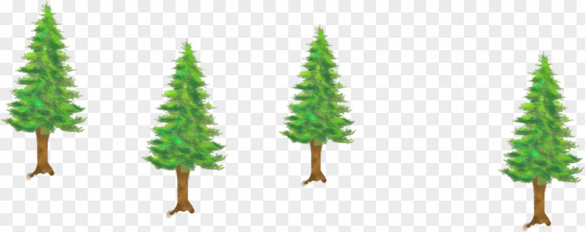 Tree Fir Spruce PNG
