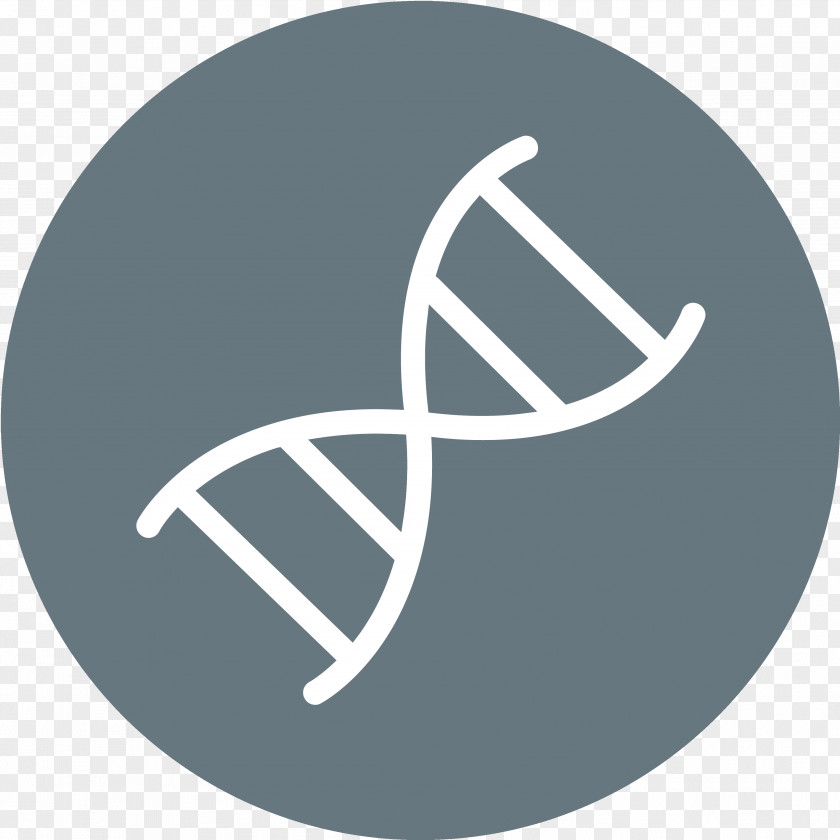 DNA Nucleic Acid Double Helix PNG