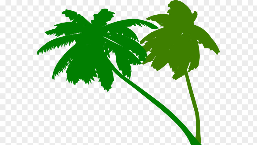 Green Palm Leaves Arecaceae Tree Clip Art PNG