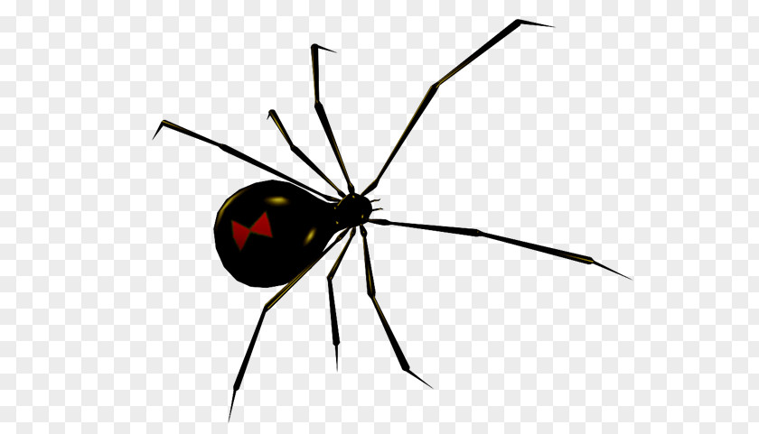 Spider Widow Spiders Clip Art GIF PNG