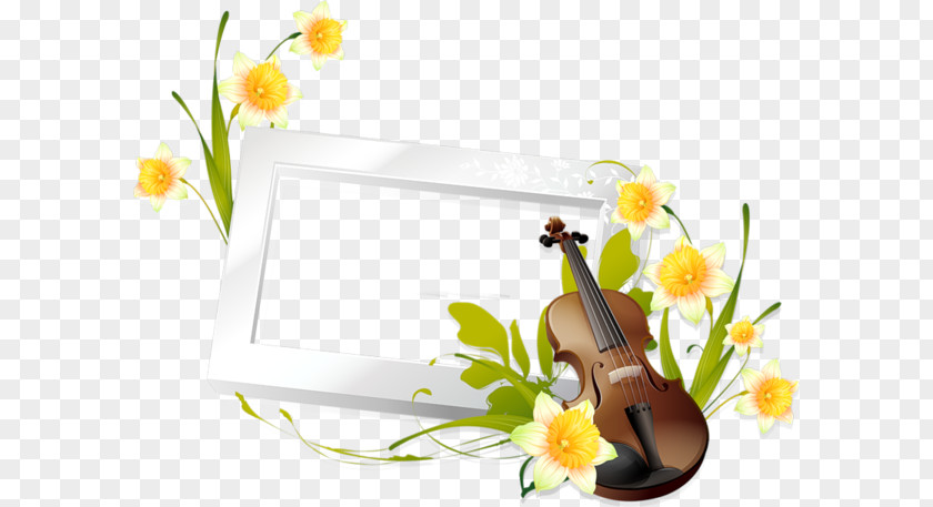 Leisure Time Violin White Border Euclidean Vector Flower PNG
