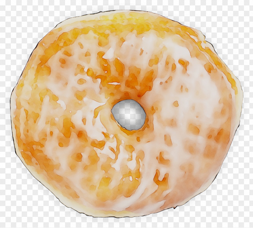 Nautiluses Donuts Seashell Conchology Orange S.A. PNG