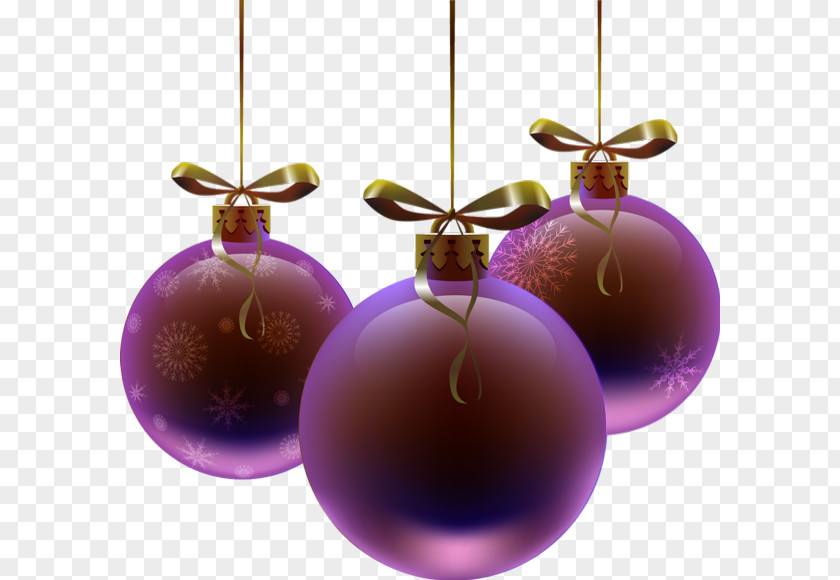 Plant Sphere Christmas And New Year Background PNG