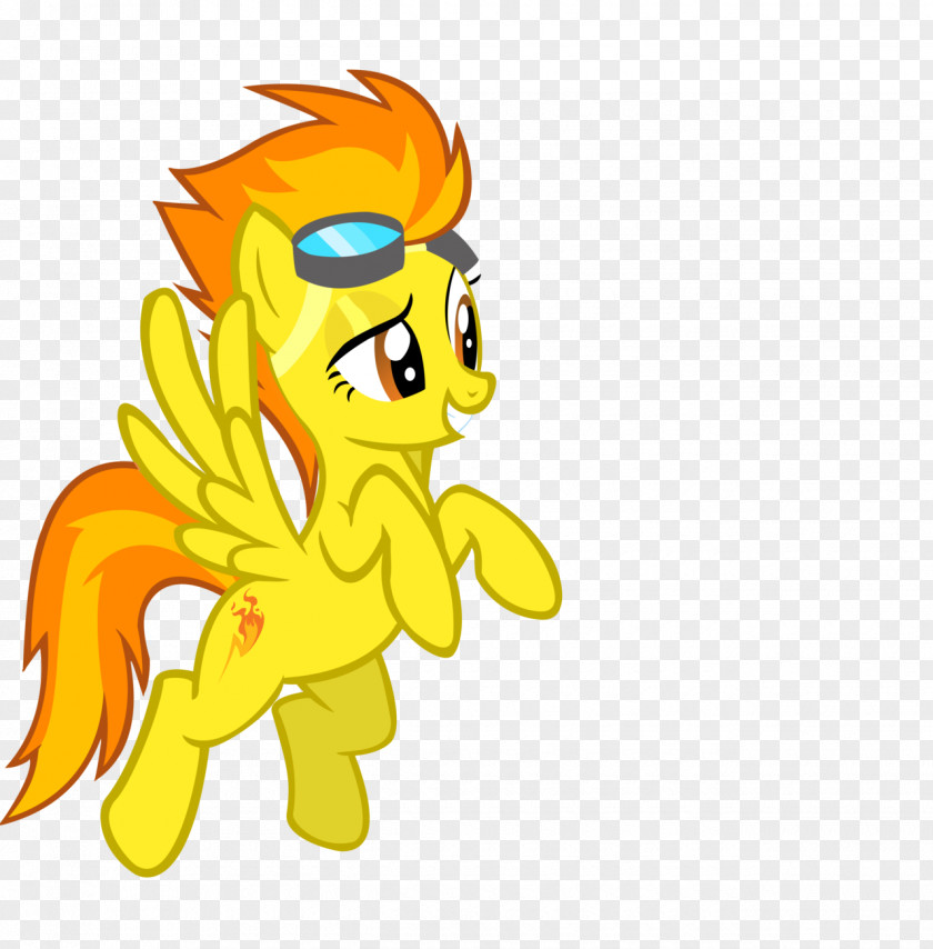 Spitfire Pony Princess Cadance Rainbow Dash DeviantArt PNG