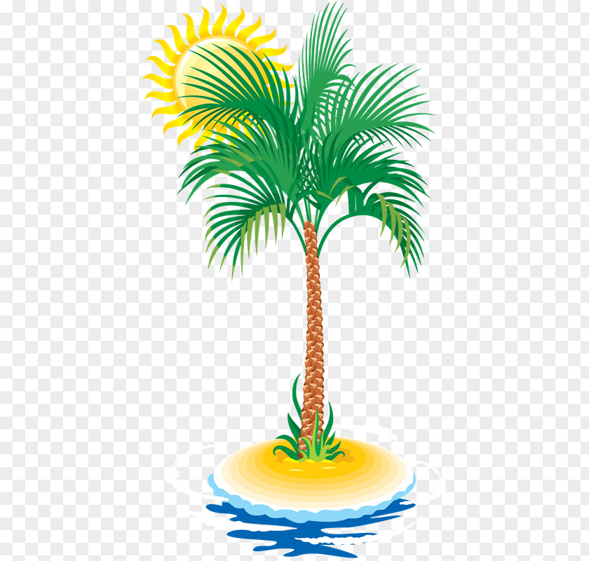 Tree Arecaceae Coconut Clip Art PNG