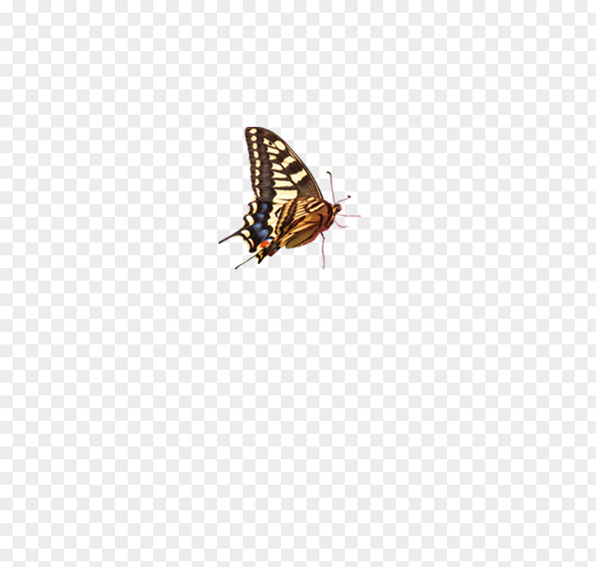 Butterfly Car Screen Protector Enhancer Color Pattern PNG