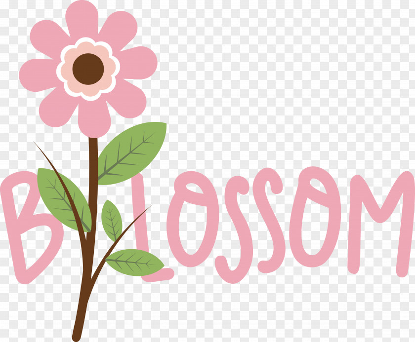 Floral Design PNG