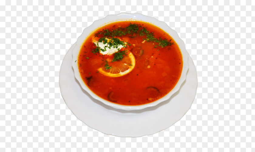 Meat Ezogelin Soup Cold Borscht Solyanka Tomato PNG
