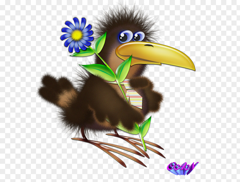 Toucan Clip Art Image Bird Kawaii Cartoon PNG