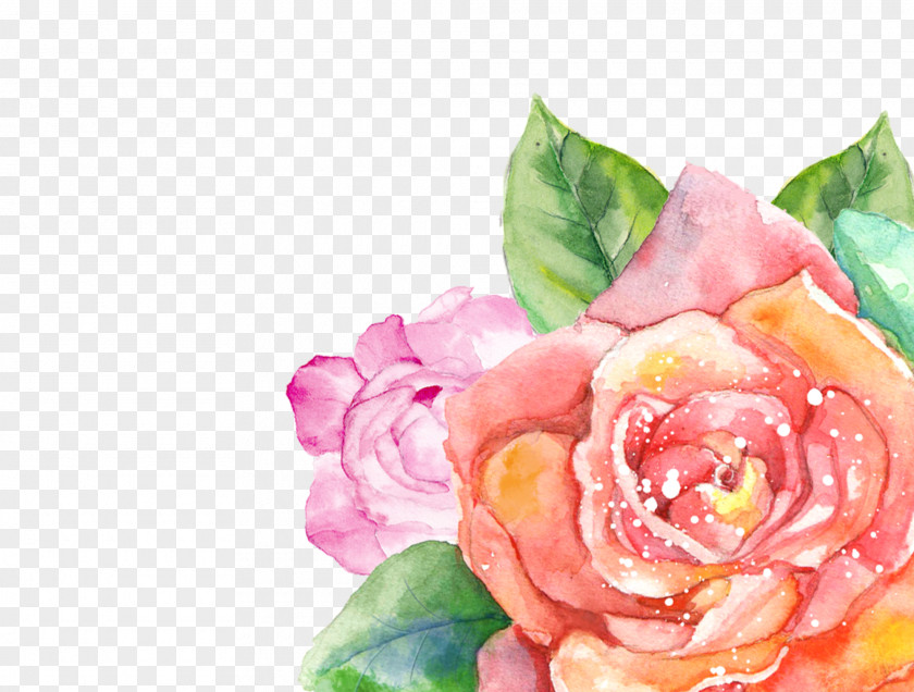 Watercolour Flower Watercolor Painting Garden Roses Floral Design Transparent PNG