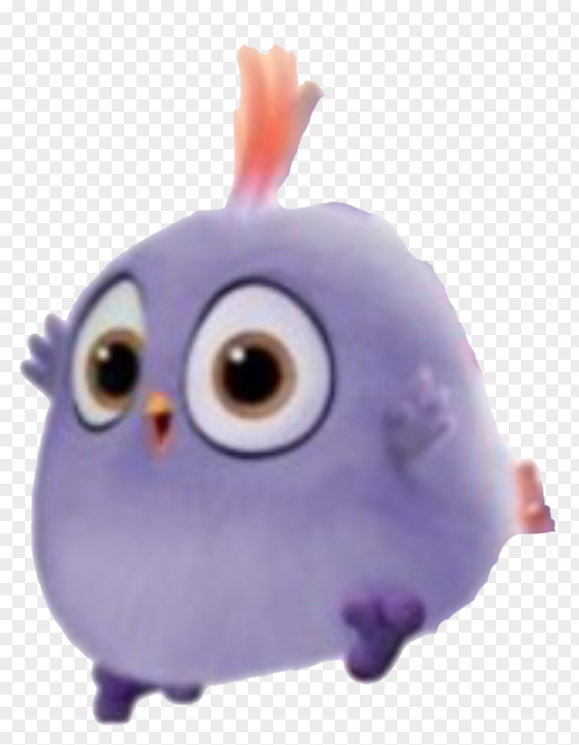 Bird Angry Birds Match Beak Owl Hatchling PNG