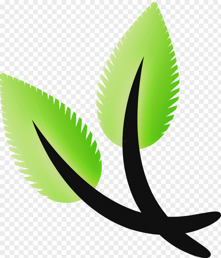 Ecology Environmental Protection PNG