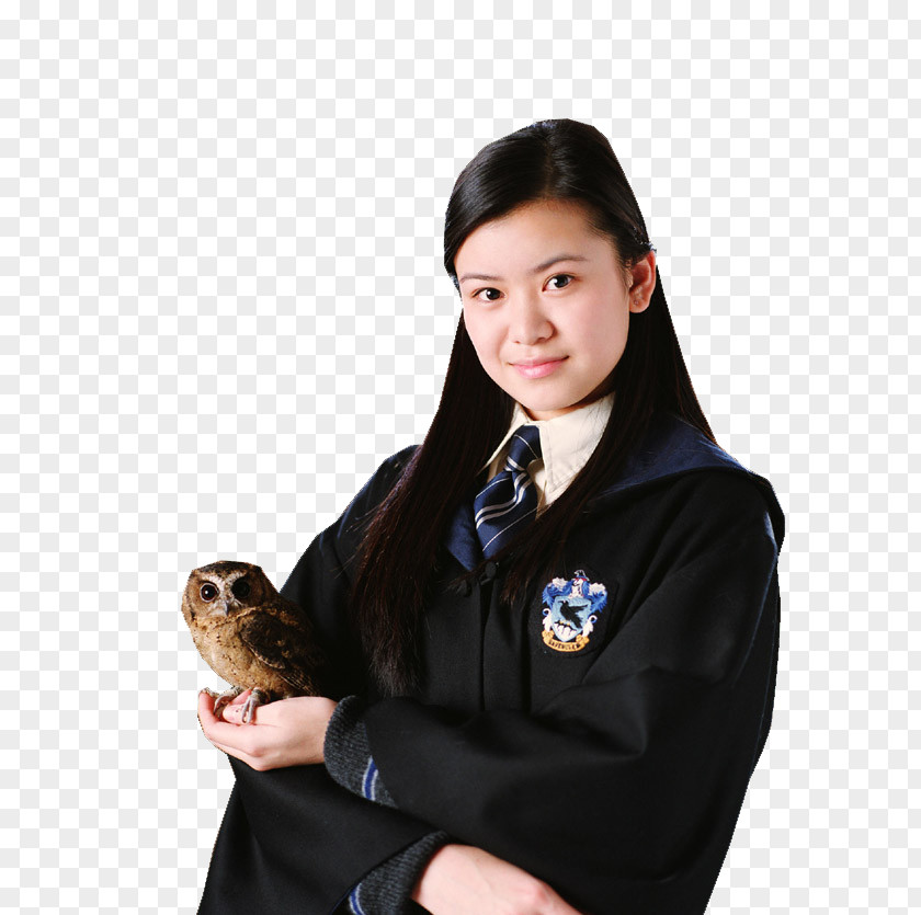 Harry Potter Katie Leung Cho Chang And The Goblet Of Fire Arthur Weasley Ron PNG