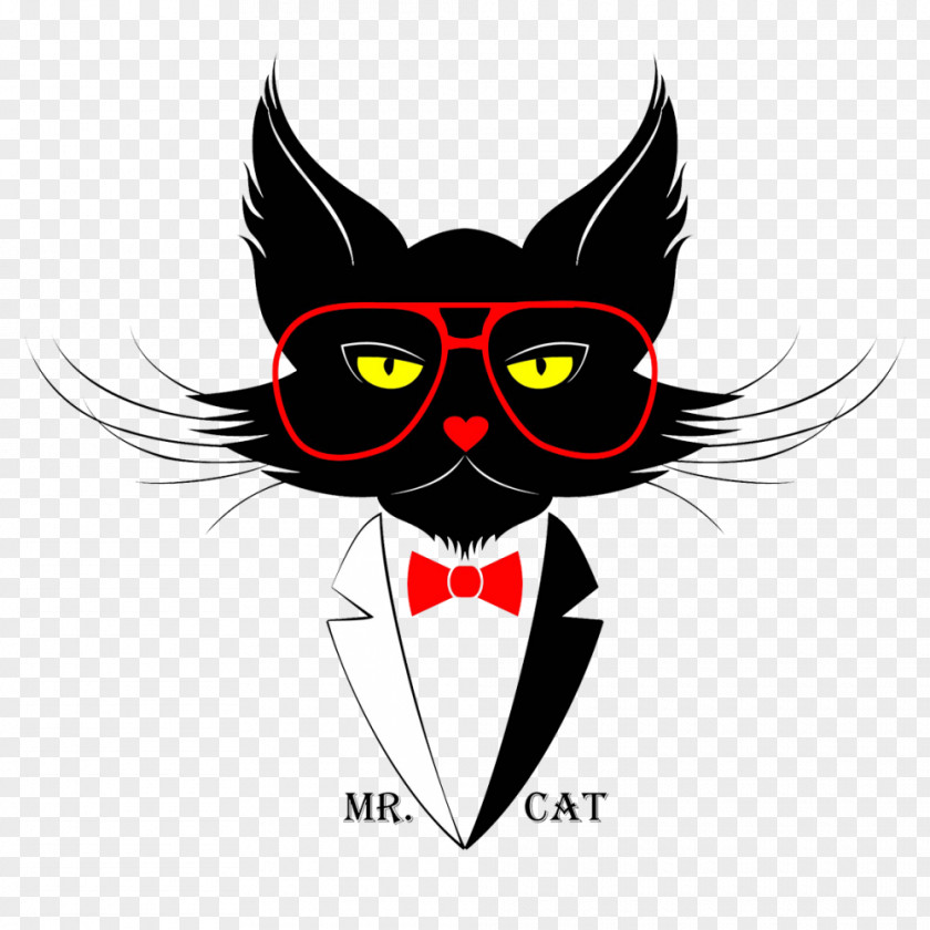 Hipster Cat T-shirt Photography PNG