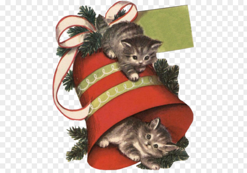 Kitten Whiskers Christmas Ornament PNG