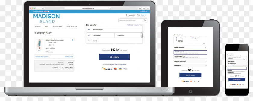 Smartphone E-commerce Payson AB Trade Svea Ekonomi PNG